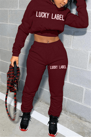 Casual Sportswear Hoodie Letter Embroidery Two Pieces
