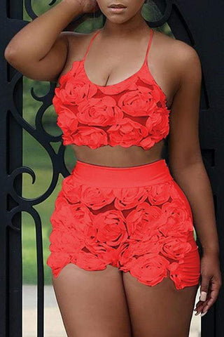 Sweet Floral Lace Two-piece Shorts Set