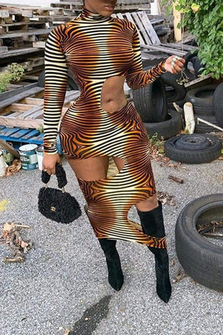 Sexy Zebra-Stripe Print Hole Dress
