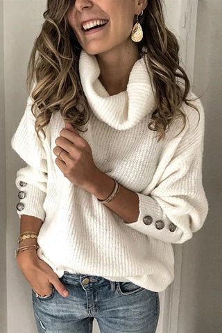 Casual Solid Turtle Neck Sweater