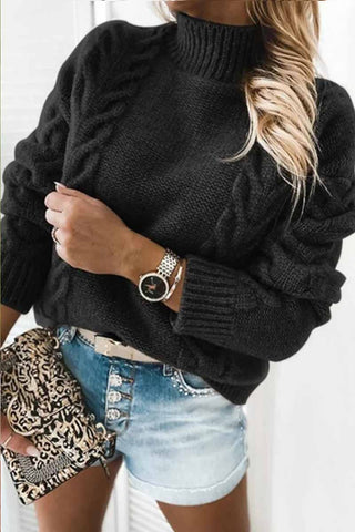 Fashion Pure Color Turtleneck Knitted Casual Sweater