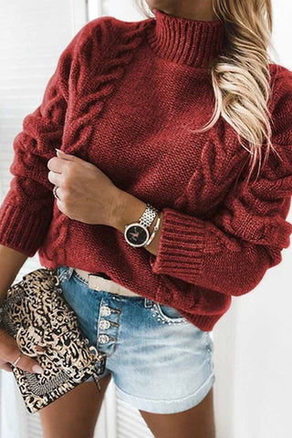 Fashion Pure Color Turtleneck Knitted Casual Sweater