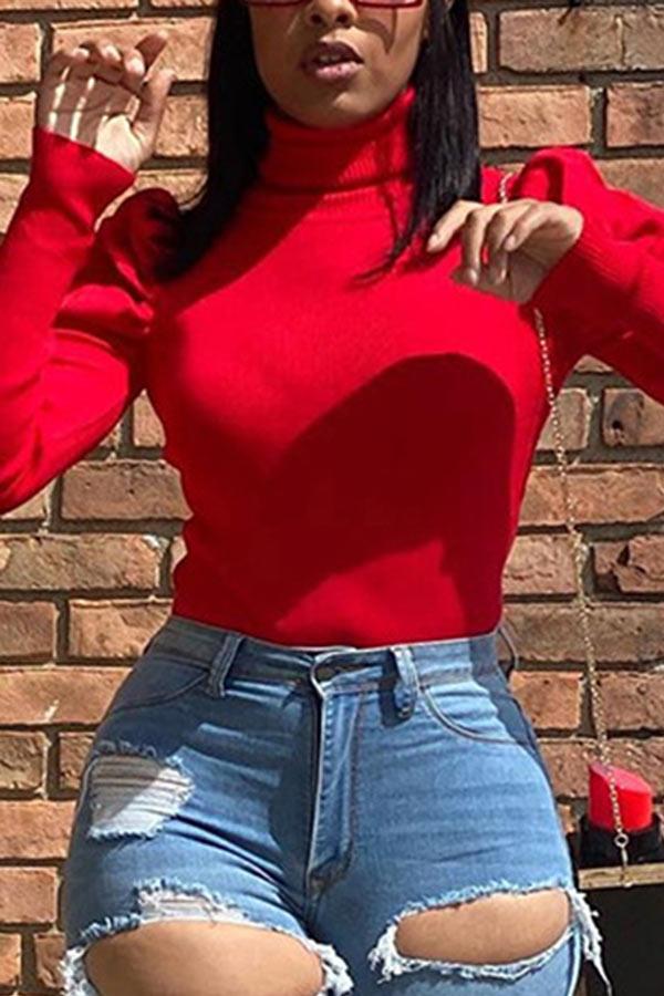 Casual Turtleneck Long Sleeve Solid Top
