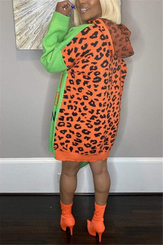 Casual Leopard Letter Long Sleeve Dress