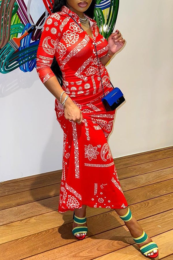 Buttoned Shirt Collar Paisley Print Maxi Dress
