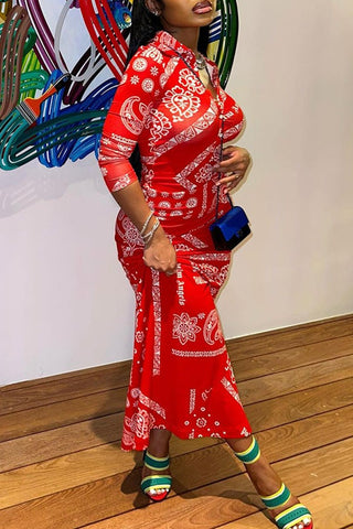 Buttoned Shirt Collar Paisley Print Maxi Dress