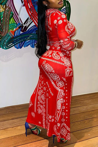 Buttoned Shirt Collar Paisley Print Maxi Dress