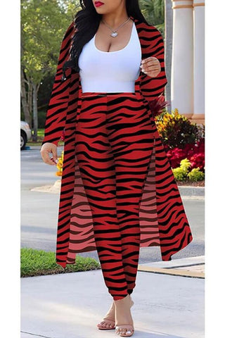 Zebra Printing Two Piece Set (S-4XL)