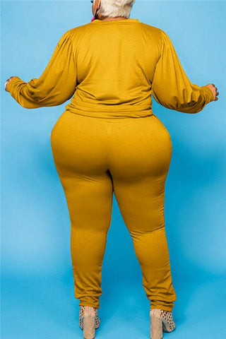 Casual  Solid Color Plus Size Basic Two Piece