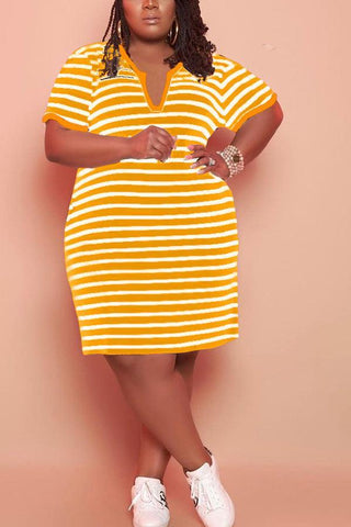 Casual V-Neck Striped Plus Size Pocket Dress