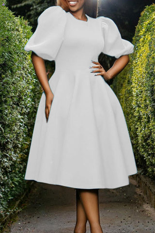 Casual Solid Basic O Neck A Line Dresses