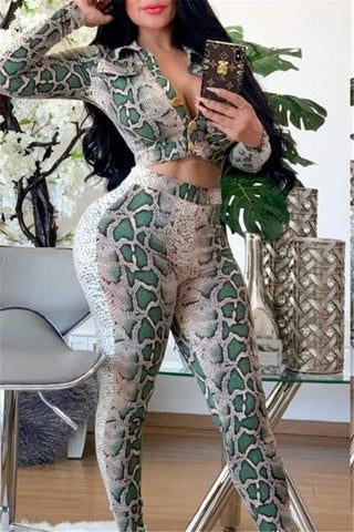 Fashion V-neck Top SnakeSkin Two-Pieces