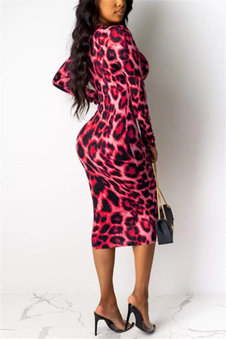 Leopard Deep V Long Sleeve Dress