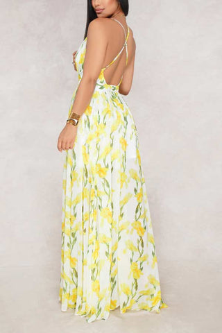 Sexy Deep V Backless Chiffon Dress