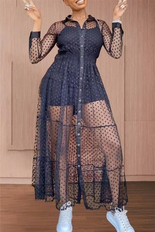 Sexy Polka Dot Print Mesh Dress