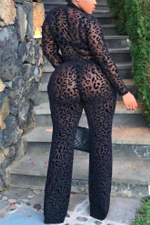 Sexy See-through Split Joint Regular Jumpsuits