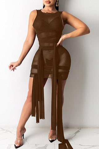 Sexy Solid Color See-through Mesh Dress