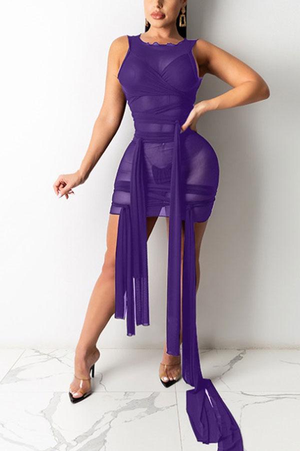 Sexy Solid Color See-through Mesh Dress